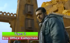 Read more about the article Tiger 3 (2023) – Box Office Worldwide Collection